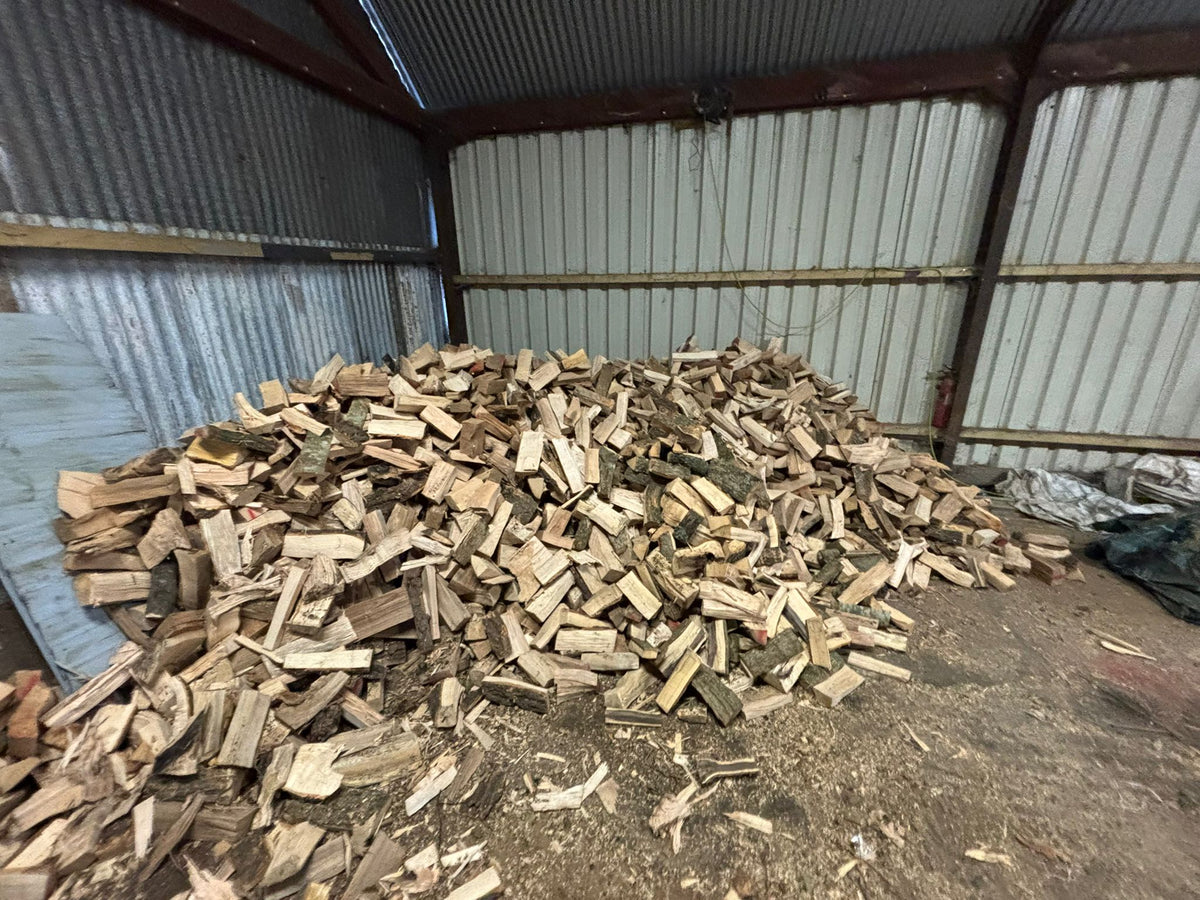 ethanslogs – Ethan's Logs